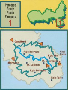 fattoria ripalte calamita
