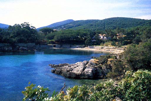 Cala dell’Alga Spiagge elba