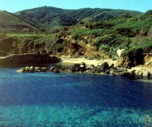 felciaio spiaggia