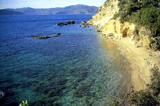 Peducelli Spiagge elba