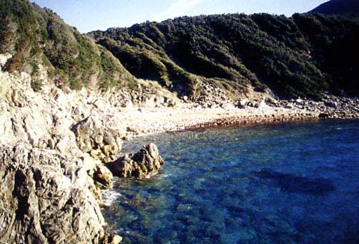 Pesciatoio (Pisciatoio ) Spiagge elba
