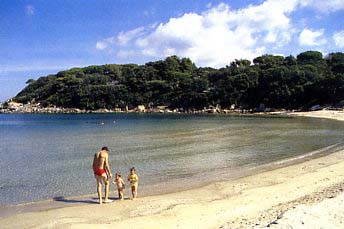 Spartaia Spiagge elba