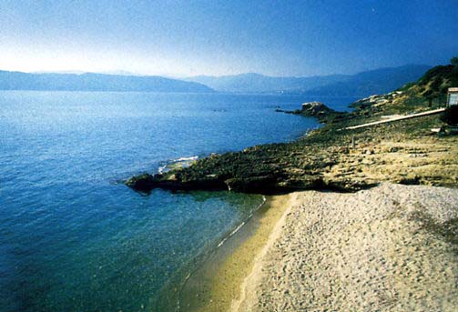 Stecchi Spiagge elba
