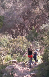 Trekking isola delba